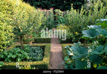 Clipped box edging around formal square beds in a large vegetable knot garden Stock Photo