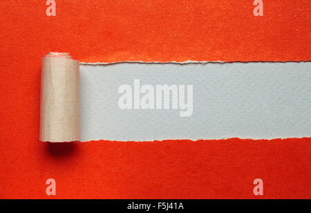 orange Torn paper with white background Stock Photo