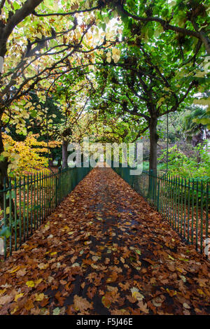 Bird Cage Walk, Clifton, Bristol. Stock Photo