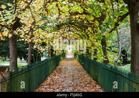 Bird Cage Walk, Clifton, Bristol. Stock Photo