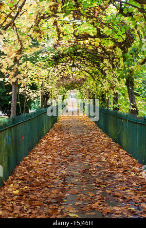 Bird Cage Walk, Clifton, Bristol. Stock Photo