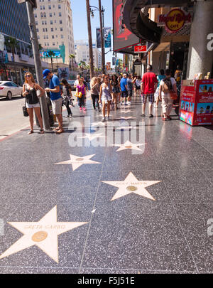 Walk of Stars on the pavement outside the Country Music Hall of Fame ...