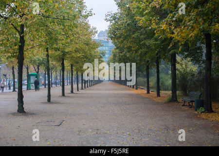 Rows of Autumn Trees along Ebertstraße at the edge of the Tiergarten in Berlin, Germany Stock Photo