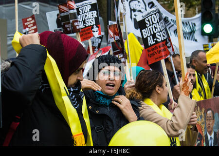 Whitehall, London, November 5th 2015. UK Egyptians demonstrate in support of President Abdel Fatah al-Sisi as supporters of ousted Mohamed Morsi and human rights groups protest outside Downing Street as the leader visits Prime Minister David Cameron at No. 10.  PICTURED: Supporters of Mohamed Morsi counter-protest against Sisi's supporters.. Credit:  Paul Davey/Alamy Live News Stock Photo
