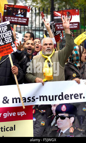 London, UK. 5th November, 2015. Demonstrators for and against President Sisi of Egypt protest in Whitehall awaiting his arrival in Downing Street to meet the Prime Minister - protesters against the president Credit:  PjrNews/Alamy Live News Stock Photo