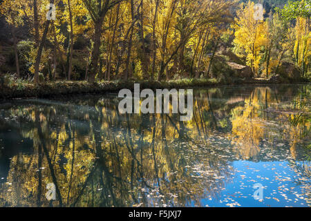 Autumn on the River Jucar in the Hoz del Jucar gorge at Cuenca, Castilla-la mancha, Central Spain Stock Photo