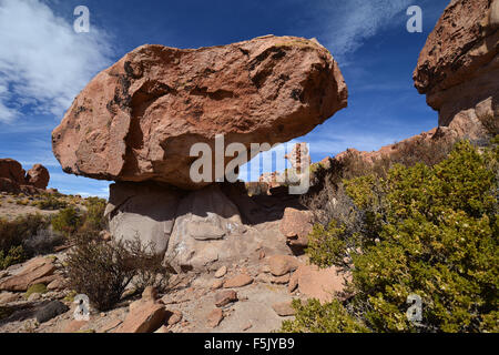 Eroded rock in rocky valley, Valle de las Rocas, Uyuni, Altiplano, border triangle, Bolivia, Argentina, Chile Stock Photo