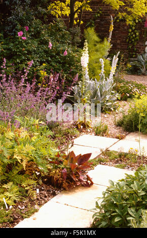 Paved path through summer borders with foxgloves and blue salvia Stock Photo