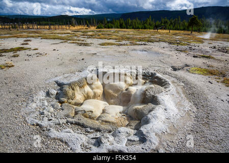 Shell Spring, Biscuit Basin, Yellowstone National Park, Wyoming, USA Stock Photo