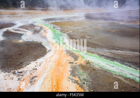 Colourful runoff caused by Thermophile bacteria from Whirligig geyser, Norris Geyser Basin, Yellowstone National Park, Wyoming, USA Stock Photo
