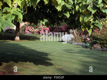 Newly mown lawn and border with pink hydrangeas in large country garden Stock Photo