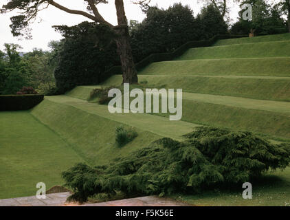Horizontal conifer shrub beside wide grass steps in a large hillside country garden Stock Photo