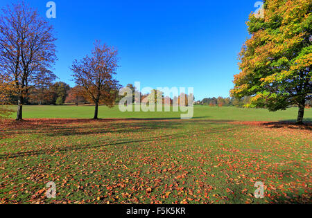 Cannon Hall Country Park, Cawthorne, Barnsley, South Yorkshire, England, UK. Stock Photo