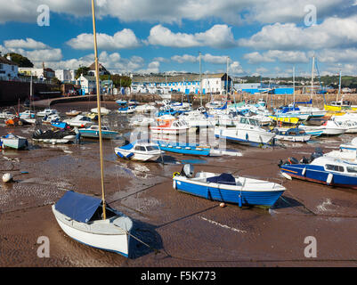 Boats in Paignton Harbour Devon England UK Europe Stock Photo