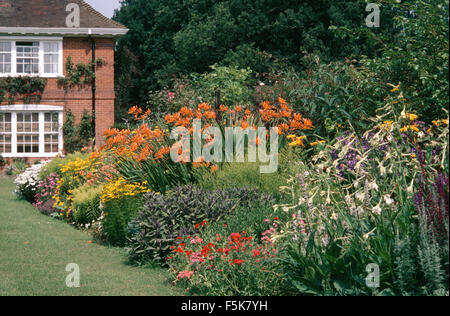 Orange day lilies and sage in a large herbaceous border with white nicotiana Stock Photo