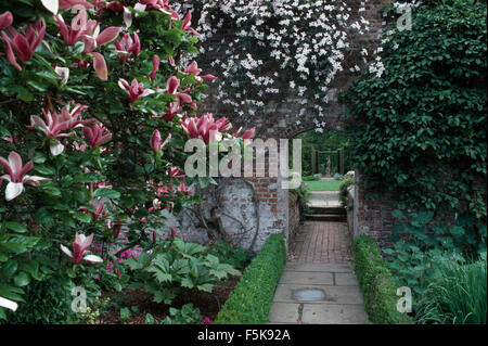 Pink magnolia and early white clematis in a large walled country garden with clipped box edging beside a stone path Stock Photo