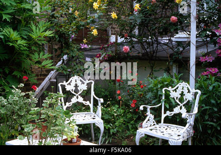 White wrought iron chairs on patio with pink and yellow roses in a in town garden Stock Photo