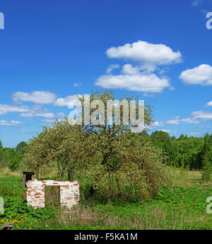 Old red brick destroyed barn in village. Stock Photo