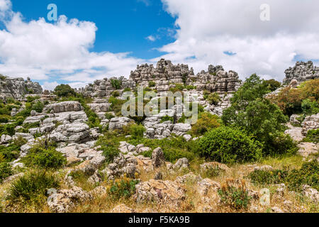 Spain, Andalusia, Province of Malaga, the karstic landscape of the Torcal de Antequera Stock Photo