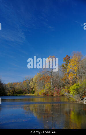 Lily Lake at Eagle Creek Park in the fall, Indianapolis, Indiana Stock ...