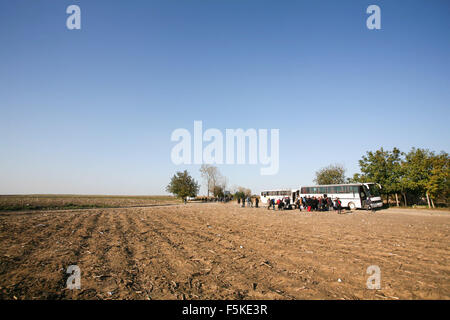 Berkasovo, Serbia. 31st Oct, 2015. Asylum seekers are discharged by busses that transported them across Serbia. The United Nations says 210,000 asylum seekers transited through the Balkans in October in an effort to seek protection in Europe. © Luke William Pasley/Pacific Press/Alamy Live News Stock Photo