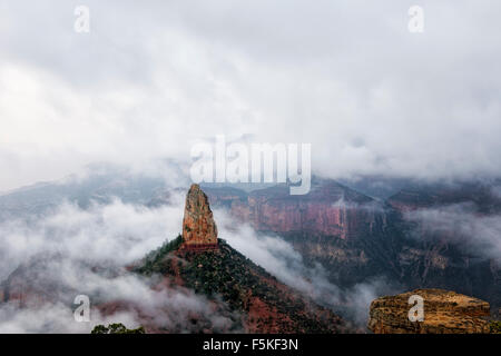 Mount Hayden stands above the morning low clouds from Point Imperial on the North Rim of Arizona’s Grand Canyon National Park. Stock Photo