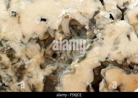 Blue Cheese - Fourme d'Ambert Stock Photo