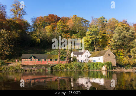 Autumn foliage colour reflected in the river Wear, Durham City, England, UK Stock Photo