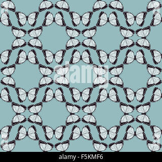 A blue butterfly pattern seamless vintagestyle background design Stock Photo