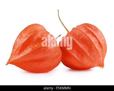 Close up of cape Gooseberry or Physalis fruit on white background