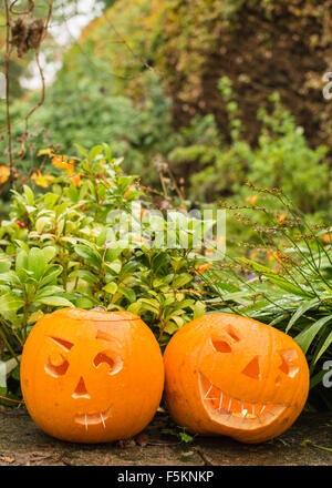 two carved halloween pumpkins in autumn garden - uk Stock Photo