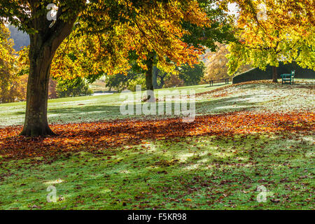 The parkland on the  Bowood Estate in Wiltshire in autumn. Stock Photo
