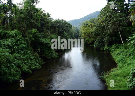 Athirappilly athirapally falls on chalakudy chalakkudi river at vazhachal forest ; Trichur Thrissur ; Kerala ; India Stock Photo