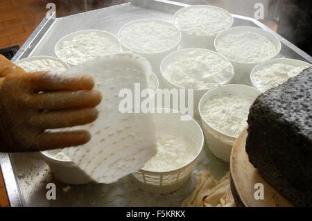 Agordino   ricotta cheese,  Credit © Marco Bruzzo/Sintesi/Alamy Stock Photo Stock Photo