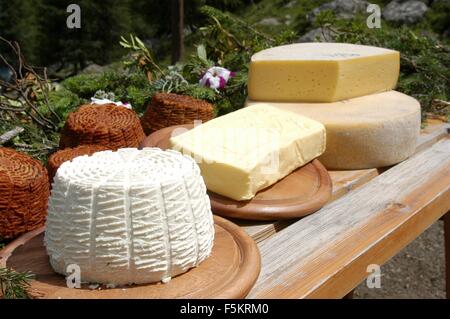 traditional  italian cheese Agordino  Credit © Marco Bruzzo/Sintesi/Alamy Stock Photo Stock Photo