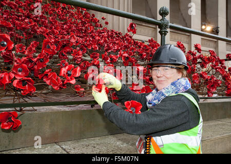 Liverpool, Merseyside, UK. 6th November, 2015. Anna Dunn, a costume designer from the Wirral works for the company 1418 NOW, fixing ceramic poppies to The 'Weeping Window' poppy installation at St. Georges Hall in Liverpool.  The sculpture has been built by volunteers in commemoration of the fallen heroes of two world wars.  The poppies will be draped like a flowing river, meandering down the steps of St. Georges Hall.  The stunning display will be completed & unveiled for Remembrance Sunday on November 8th. Credit:  Cernan Elias/Alamy Live News Stock Photo