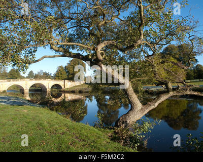 Autumn at Chatsworth, Bakewell Peak District Derbyshire England UK Stock Photo