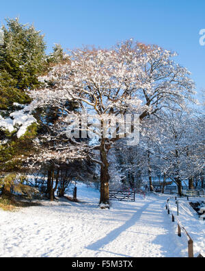 Winter snow at the Gnoll Estate Country Park in Neath, Port Talbot ...