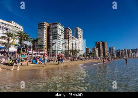 Benidorm, Spain. 6th November, 2015. Packed beaches in the hot weather which continues to favour this popular resort even in autumn, with many taking a dip in the warm sea to cool down.The 275th annual Fiesta begins tomorrow and promises to break many records. Credit:  Mick Flynn/Alamy Live News Stock Photo