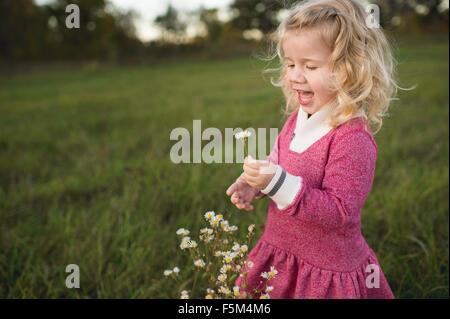 Girl wearing pink dress picking wildflowers in field Stock Photo
