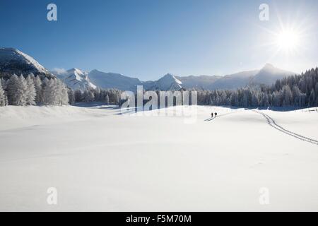 Mountain range, trees and senior couple far away on snowy landscape, Sattelbergalm, Tyrol, Austria Stock Photo