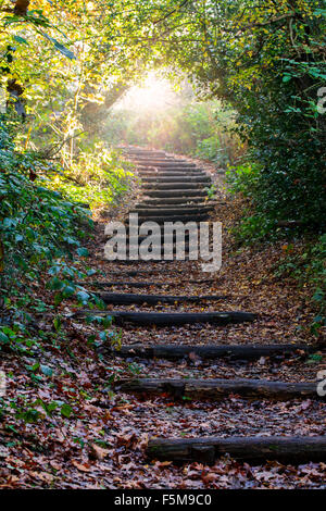 Path in the park with magical light Stock Photo