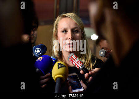 Lyon (south-eastern France): XVth Congress of the French National Front ('Front National') (2014/11/29) Stock Photo