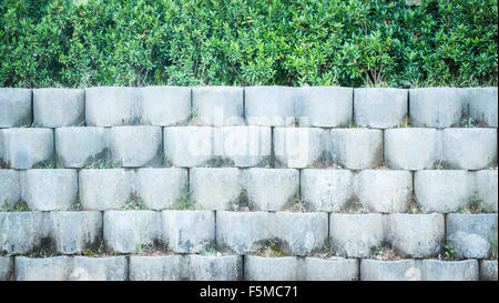 Grey brick block wall in the garden, stock photo Stock Photo