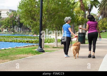 Mature female friends, walking dog in park, rear view Stock Photo