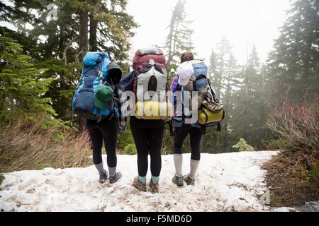 Hikers walking across forest, Lake Blanco, Washington, USA Stock Photo