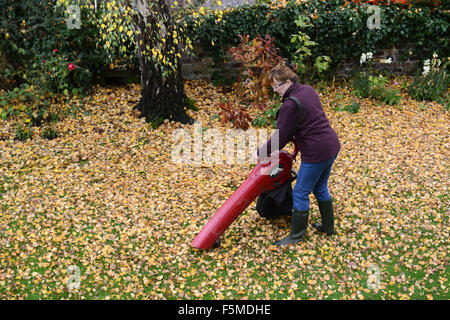 Woman gardener clearing Autumn leaves Coalbrookdale, Shropshire, Britain, Uk Credit:  David Bagnall Stock Photo