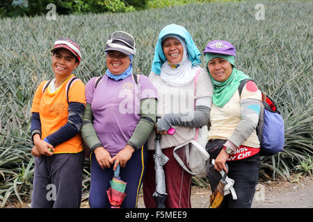 Worker in a Dole Pineapple Plantation near Polomolok, South Cotabato, Mindanao, The Philippines Stock Photo