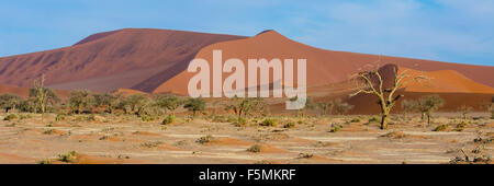 Red desert dunes at Sossusvlei in Namibia at the Naukluft / Namib nationalpark. Stock Photo