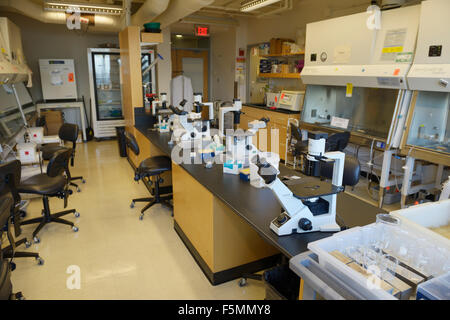 Biotechnology research lab for working with tissue cultures MIT Stock Photo